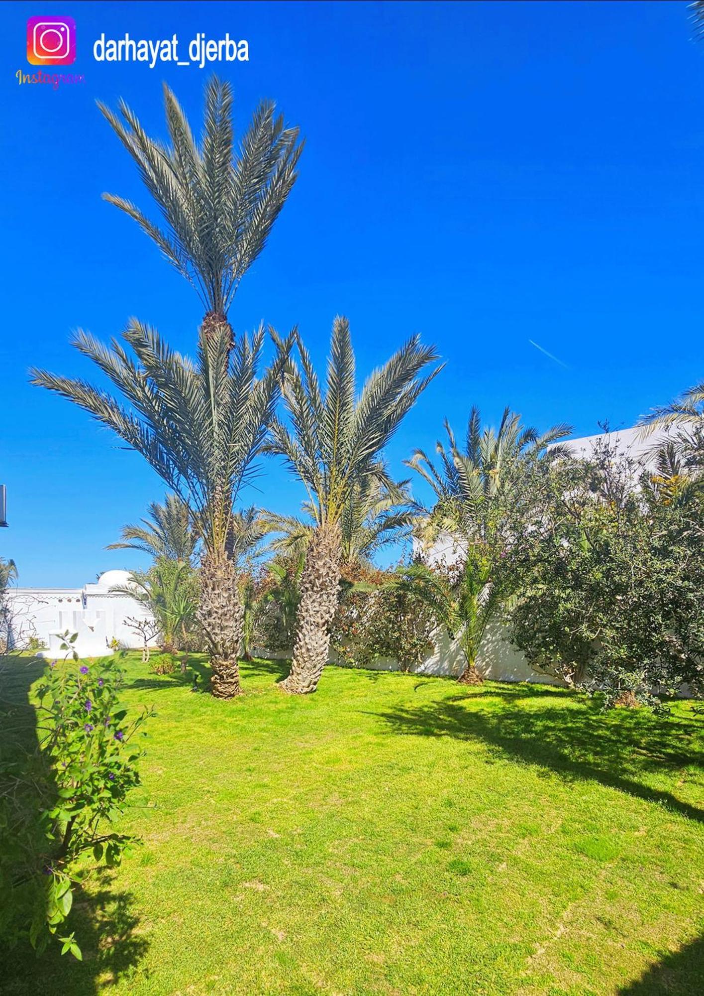 Dar Hayat Villa Triffa Exteriör bild